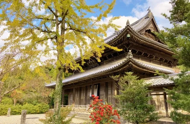 【紅葉・見ごろ】東光寺_1