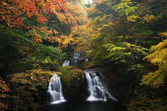 【紅葉・見ごろ】赤目四十八滝_1