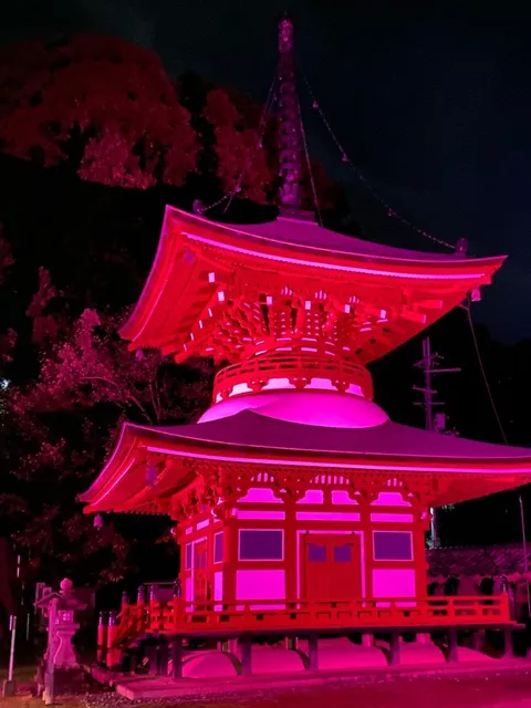 日本遺産「女人高野」ピンクリボンデーイベント 慈尊院多宝塔ライトアップ_1