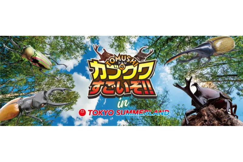 TOMUSHIのカブクワすごいぞ！【東京サマーランド】