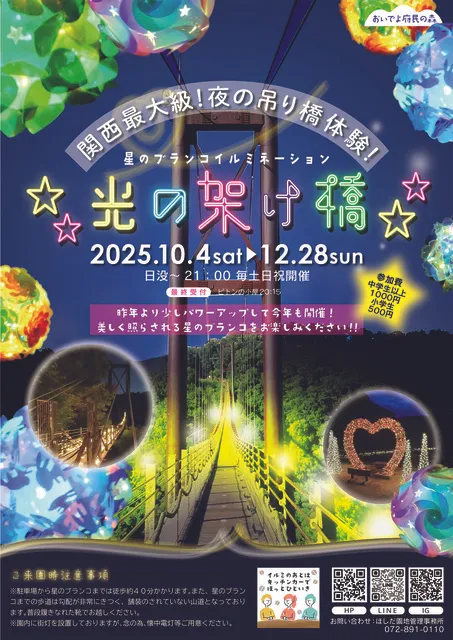 星のブランコイルミネーション『光の架け橋』_1