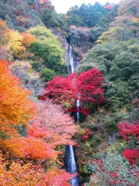 【紅葉・見ごろ】五宝滝_1