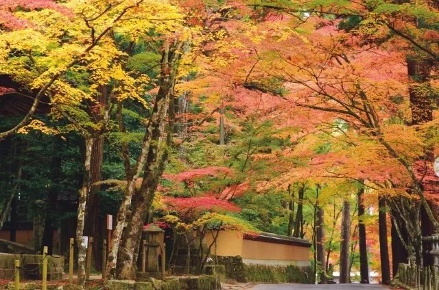 【紅葉・見ごろ】佛通寺_1