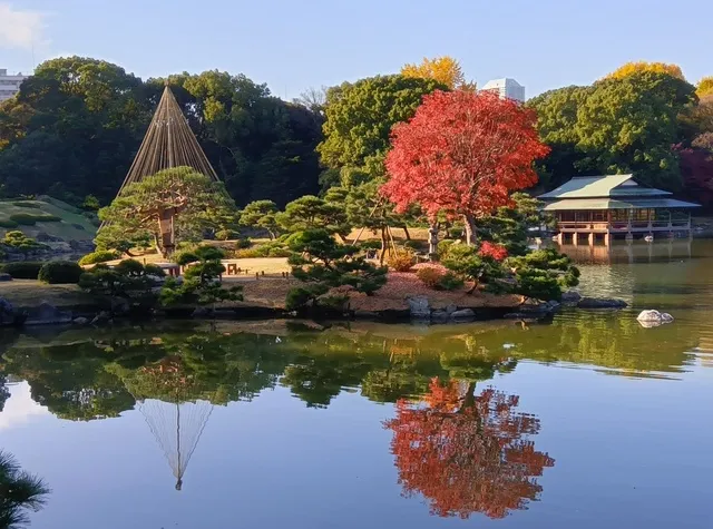 【紅葉・見ごろ】清澄庭園_1