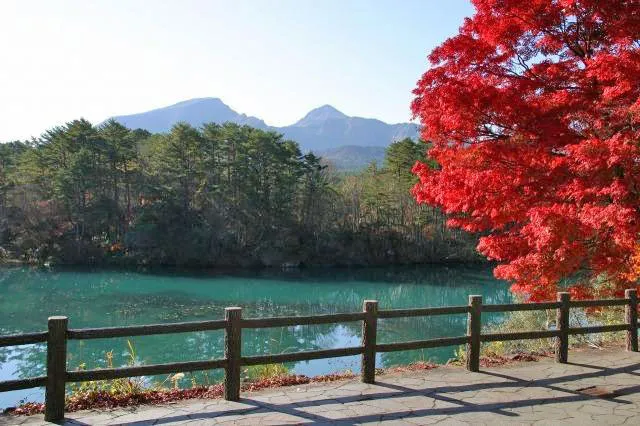 【紅葉・見ごろ】五色沼湖沼群_1