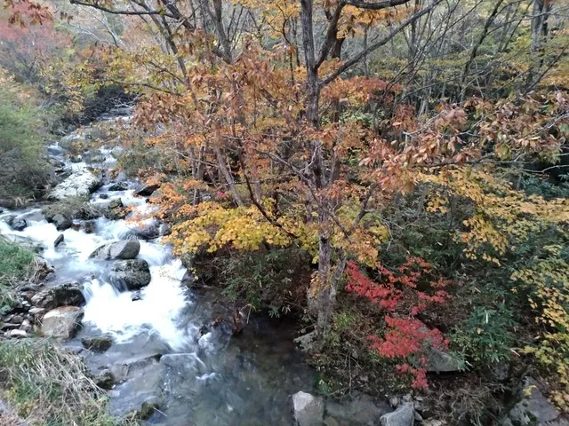 【紅葉・見ごろ】赤和瀬渓谷_1