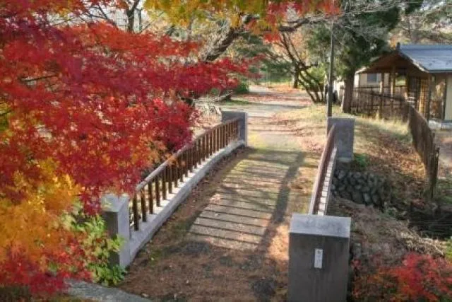 【紅葉・見ごろ】あやめ公園_1