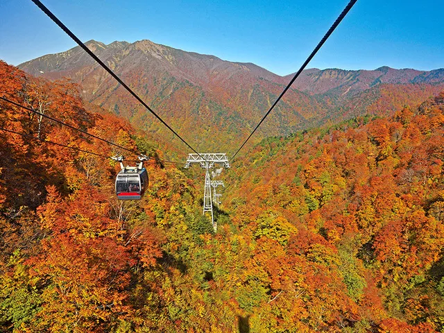【紅葉・見ごろ】谷川岳ヨッホ_1