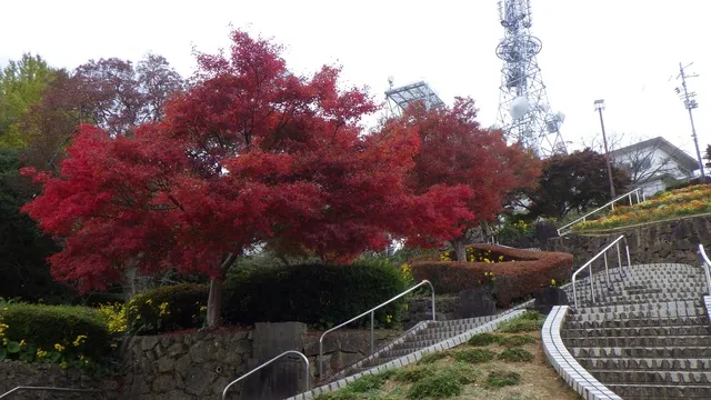 【紅葉・見ごろ】眉山公園_1