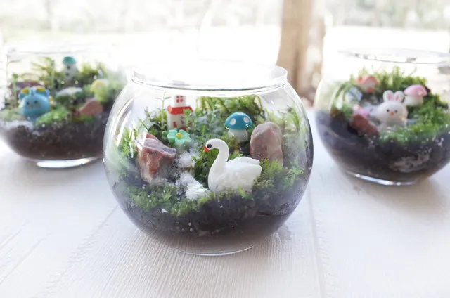 GW限定！小さな森のテラリウムを作ろう