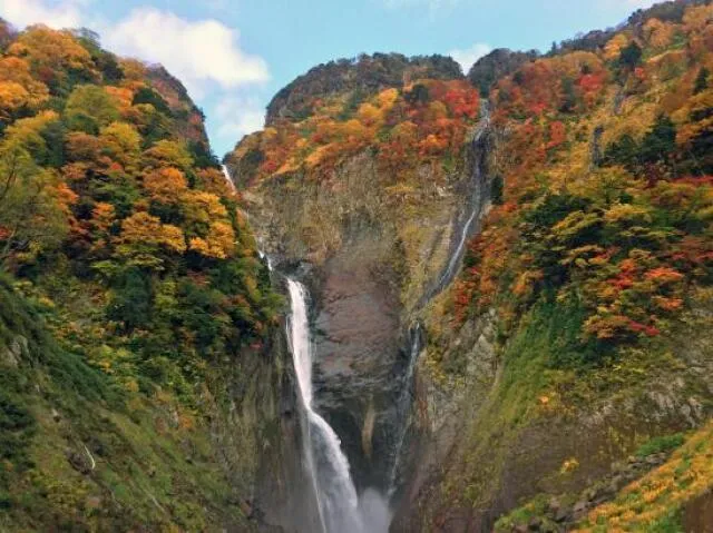 【紅葉・見ごろ】称名滝_1