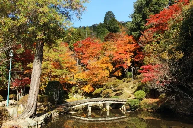 【紅葉・見ごろ】郡山公園（興禅寺跡）_1