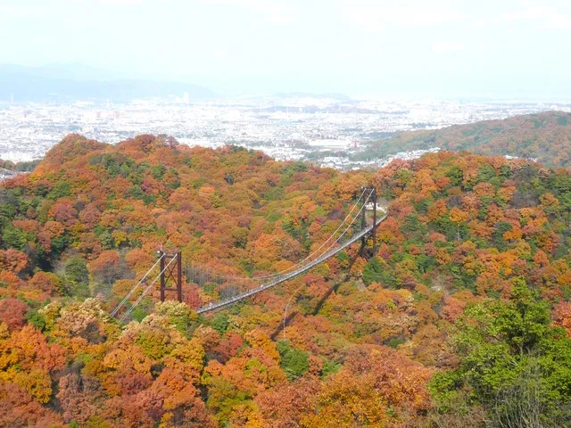 【紅葉・見ごろ】大阪府民の森　ほしだ園地_1