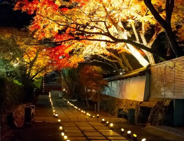 【紅葉・見ごろ】満願寺_1