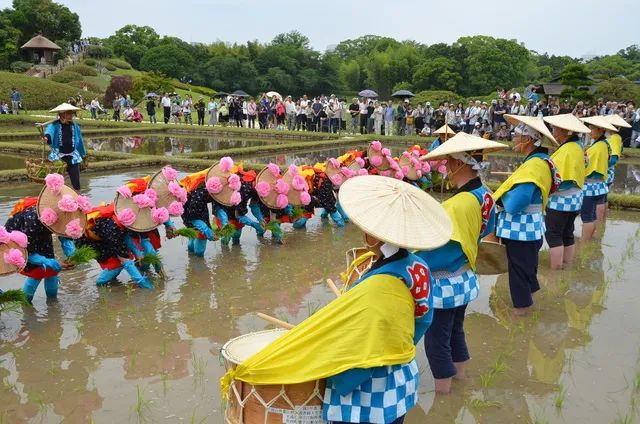 岡山後楽園「お田植え祭」_1