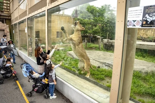 東武動物公園　ナイトアニマルガイド_1