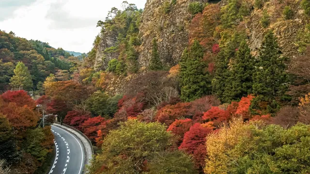 【紅葉・見ごろ】古岩屋_1