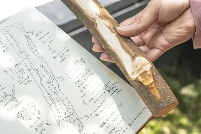 アートラボぎふ　私を見つける森のナイフワーク －生と静の1日－_1