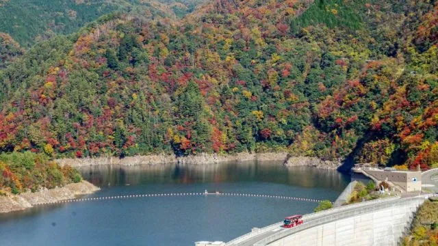 【紅葉・見ごろ】温井ダム_1