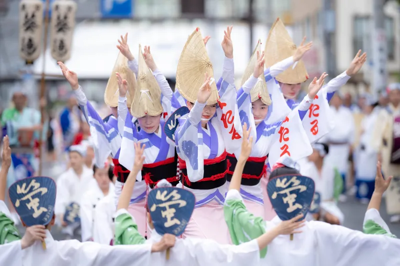 第47回 小金井阿波おどり