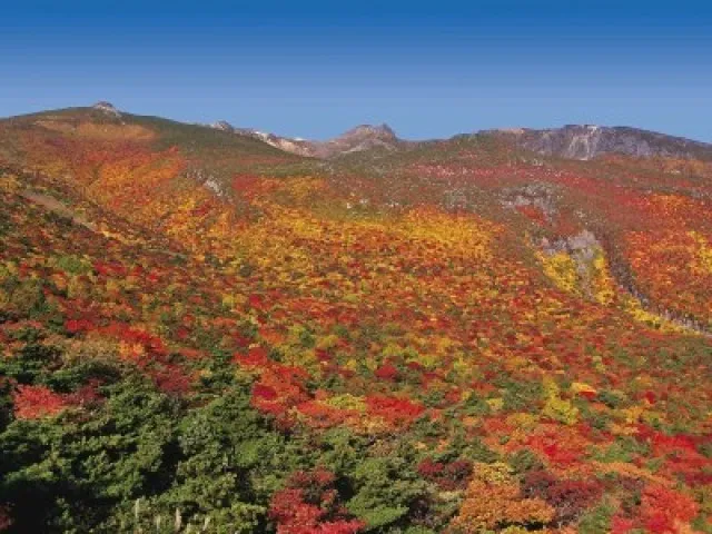 【紅葉・見ごろ】安達太良山_1
