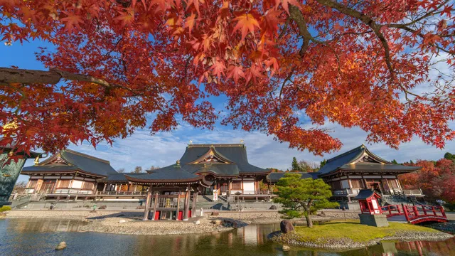 【紅葉・見ごろ】倶利迦羅不動寺　西之坊鳳凰殿_1