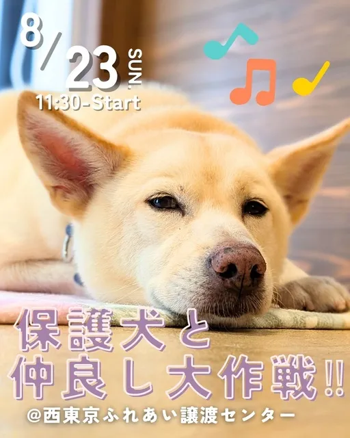 保護犬と仲良し大作戦！_1