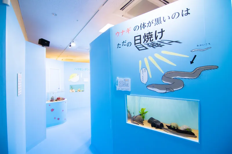 サンシャイン水族館 特別展『サンシャイン水族館×高橋書店「ざんねんないきもの事典」シリーズ　ざんねんないきもの展３