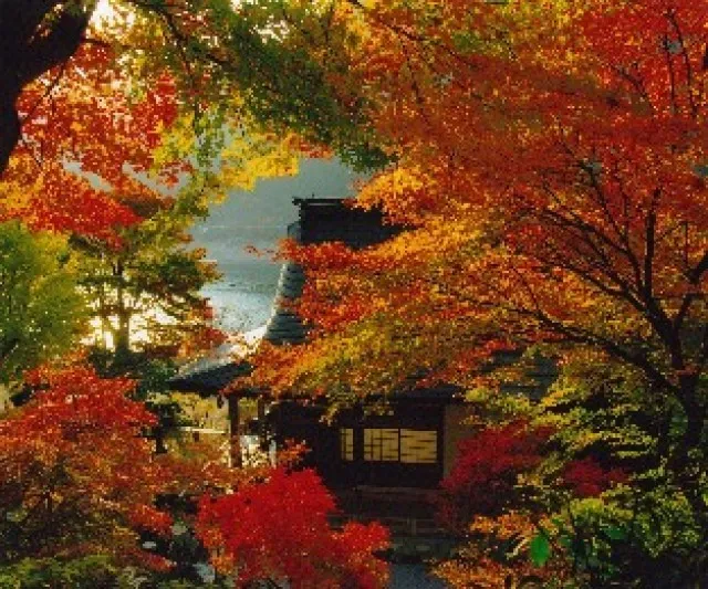 【紅葉・見ごろ】長源寺_1