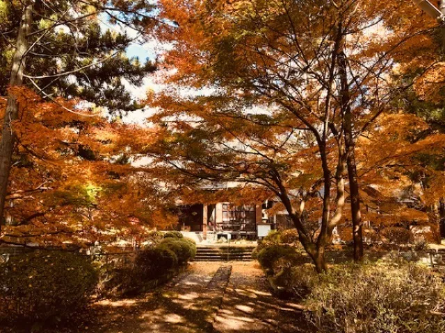 【紅葉・見ごろ】大泉寺_1