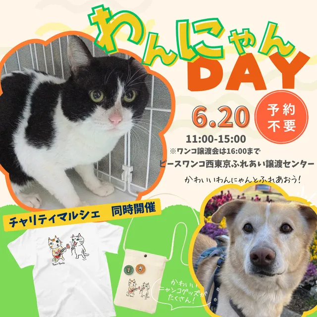 わんにゃんDAY_1