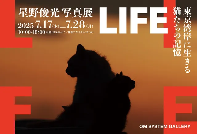 LIFE ～東京湾岸に生きる猫たちの記憶～　星野俊光写真展_1