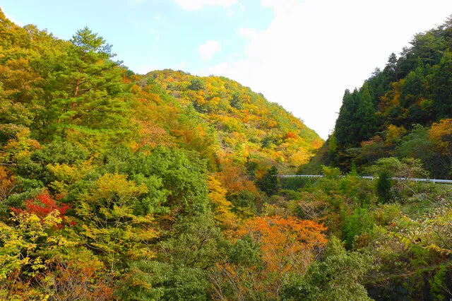 【紅葉・見ごろ】松ヶ谷渓谷_1