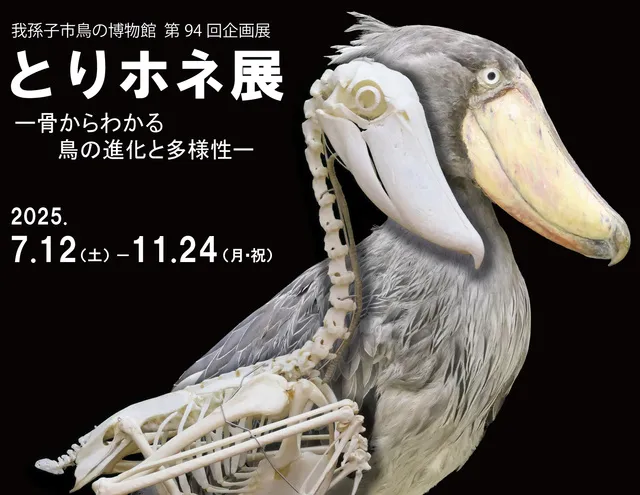 第94回企画展「とりホネ展」_1