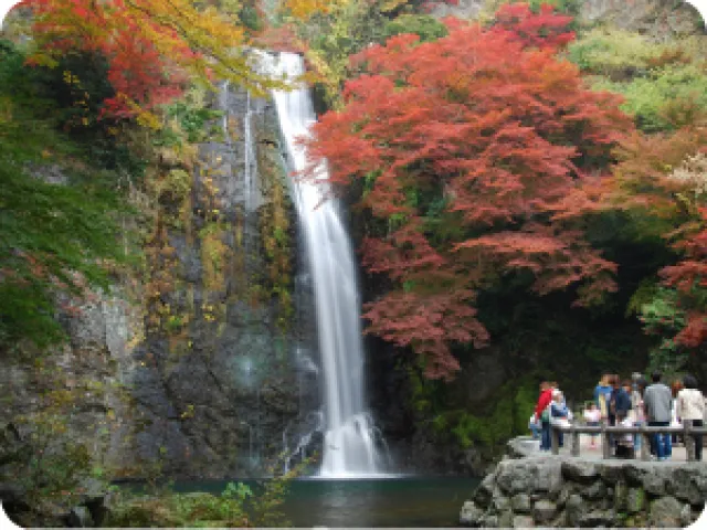 【紅葉・見ごろ】明治の森箕面国定公園_1