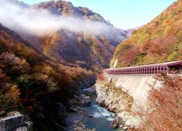【紅葉・見ごろ】赤芝峡_1