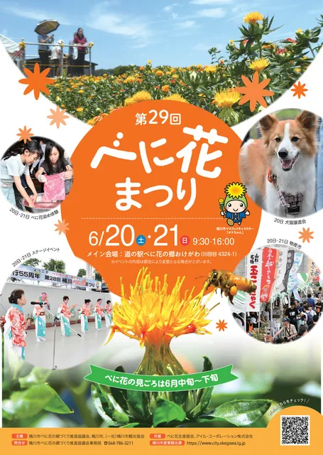 第29回桶川べに花まつり_1
