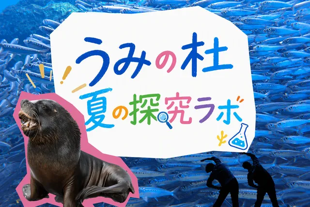 うみの杜夏の探究ラボ_1