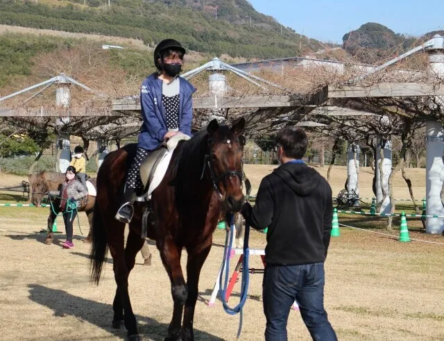 淡路島国営明石海峡公園　乗馬体験_1