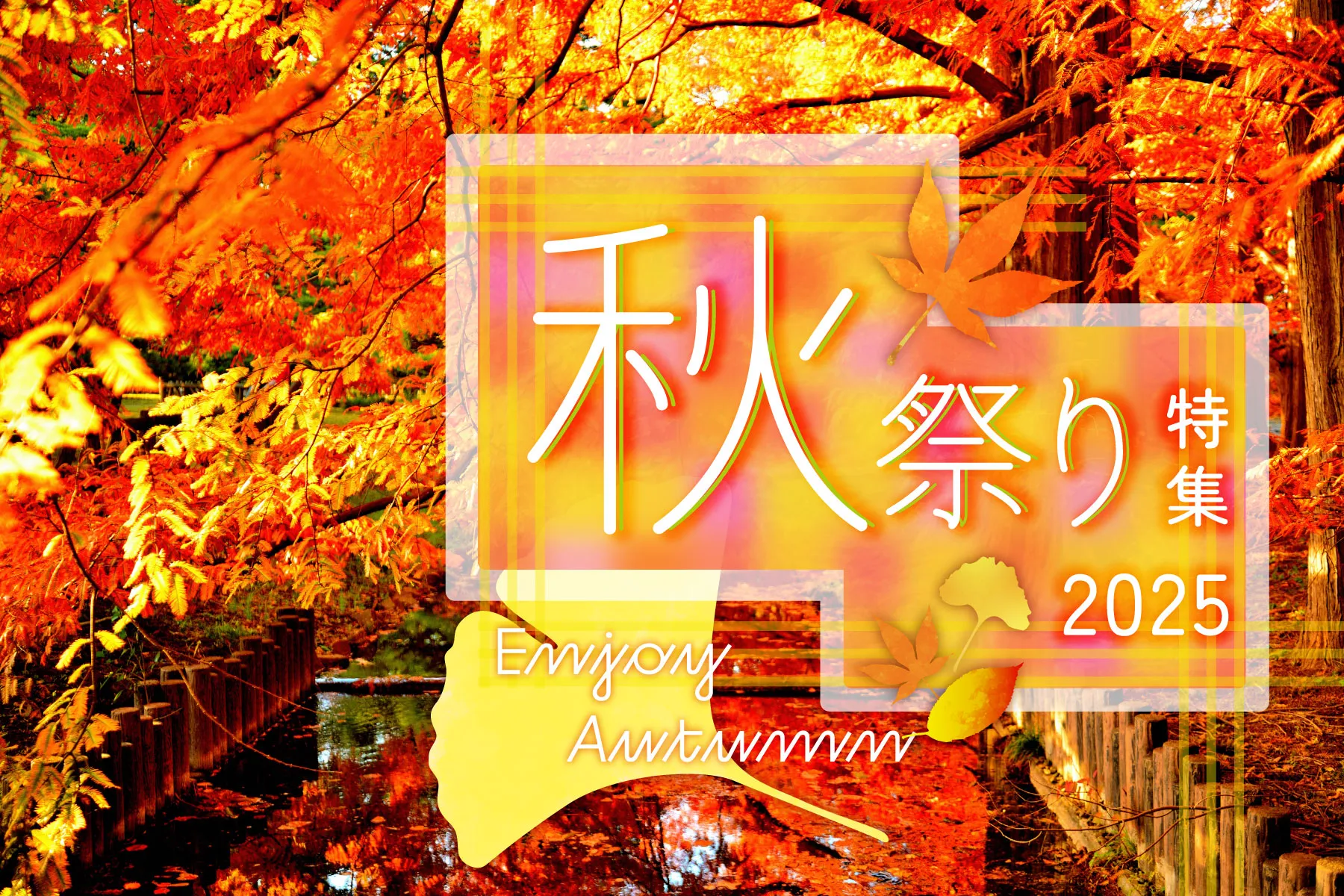 クロダミサト 沙和子個展2014、2016年 カード、カタログ クロダミサト
