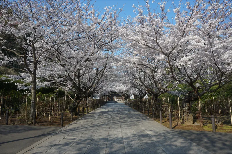 建長寺_1
