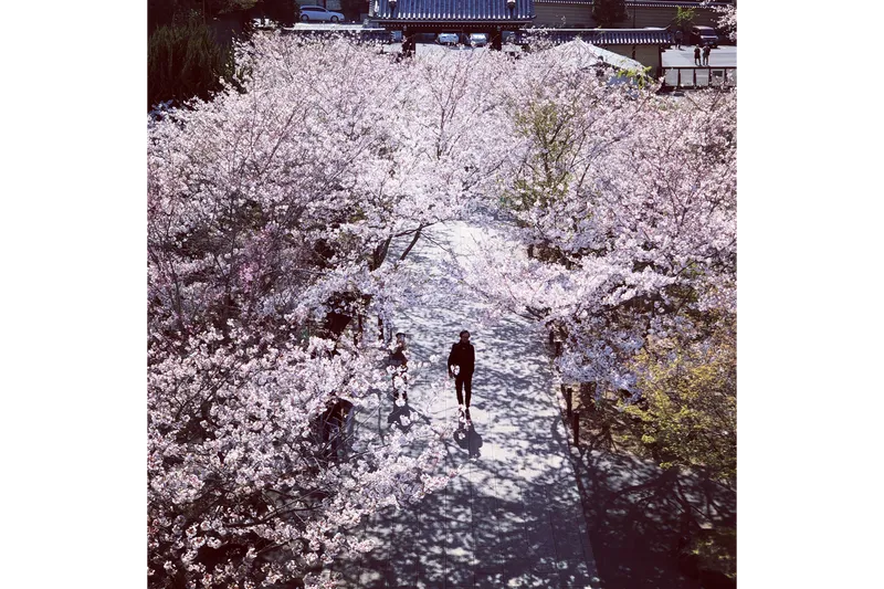 建長寺_2