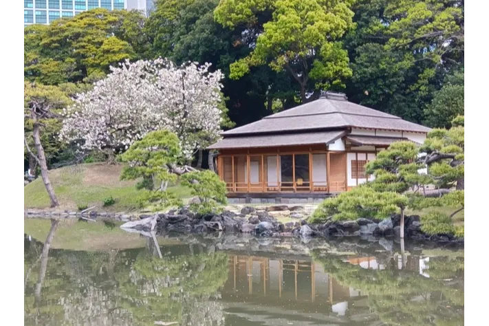 浜離宮恩賜庭園
