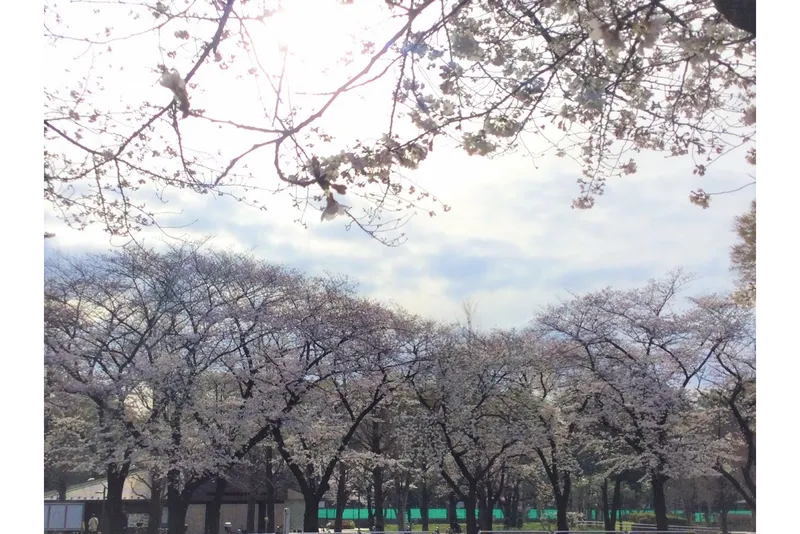 赤塚公園_3