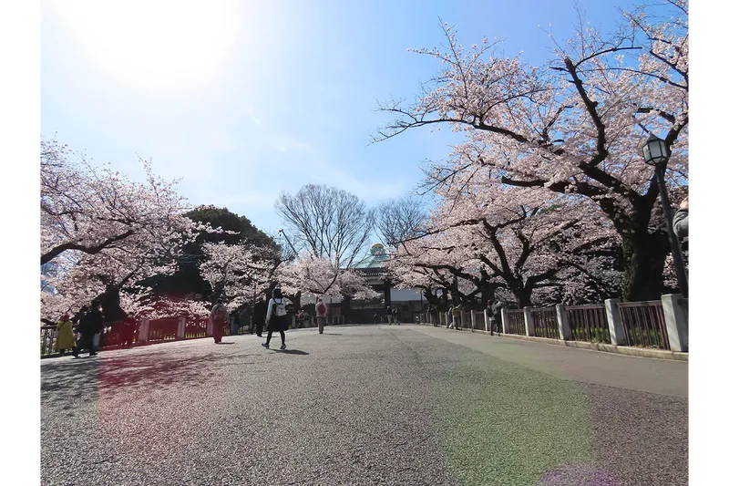 北の丸公園_2