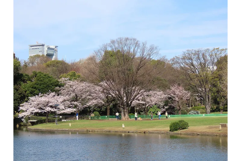 北の丸公園_3