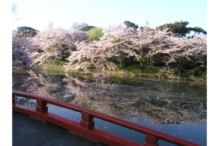 鶴岡八幡宮_1