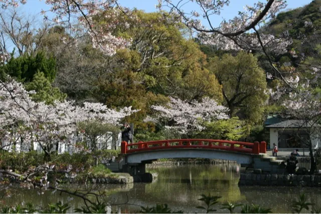 鶴岡八幡宮_2