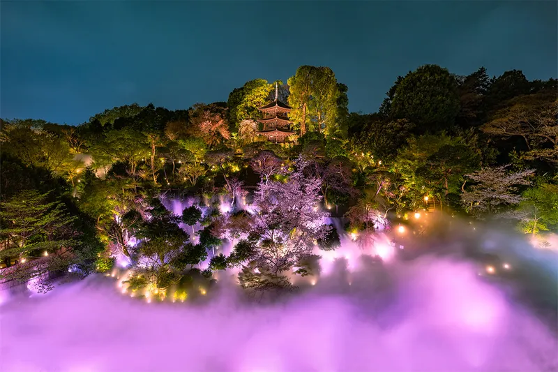 ホテル椿山荘東京の桜・花見情報_3