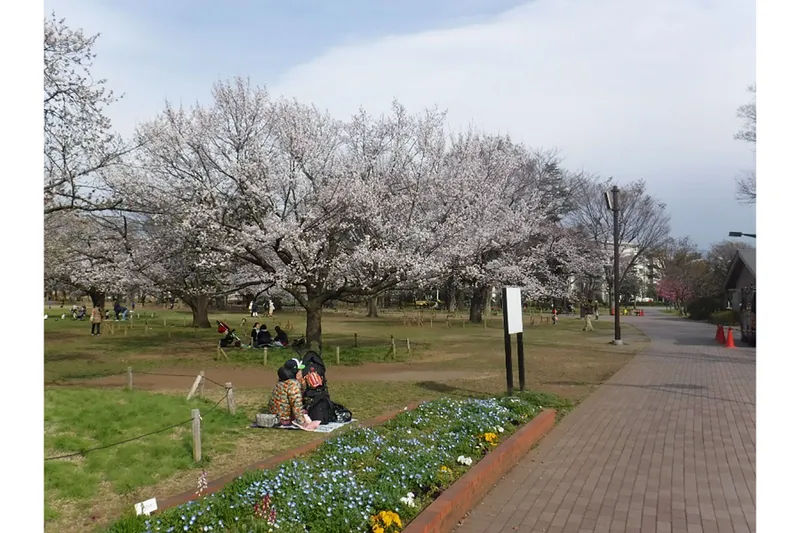 武蔵野中央公園_1